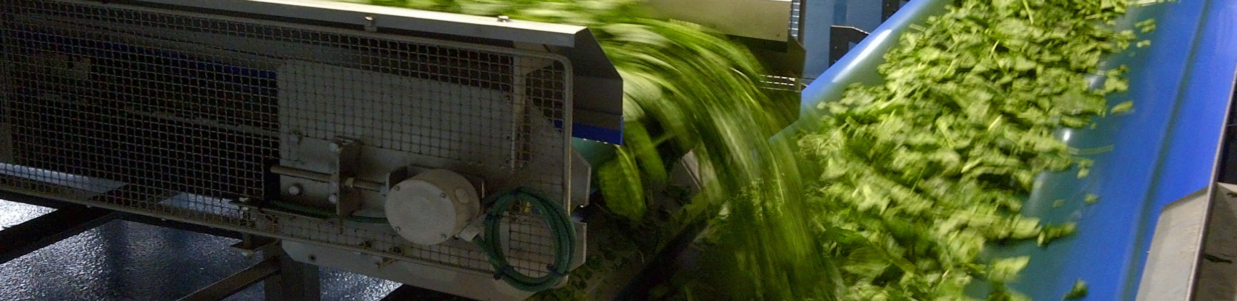 L’agroalimentare italiano guarda al suo futuro, fatto di ottimizzazione, sostenibilità ed efficienza